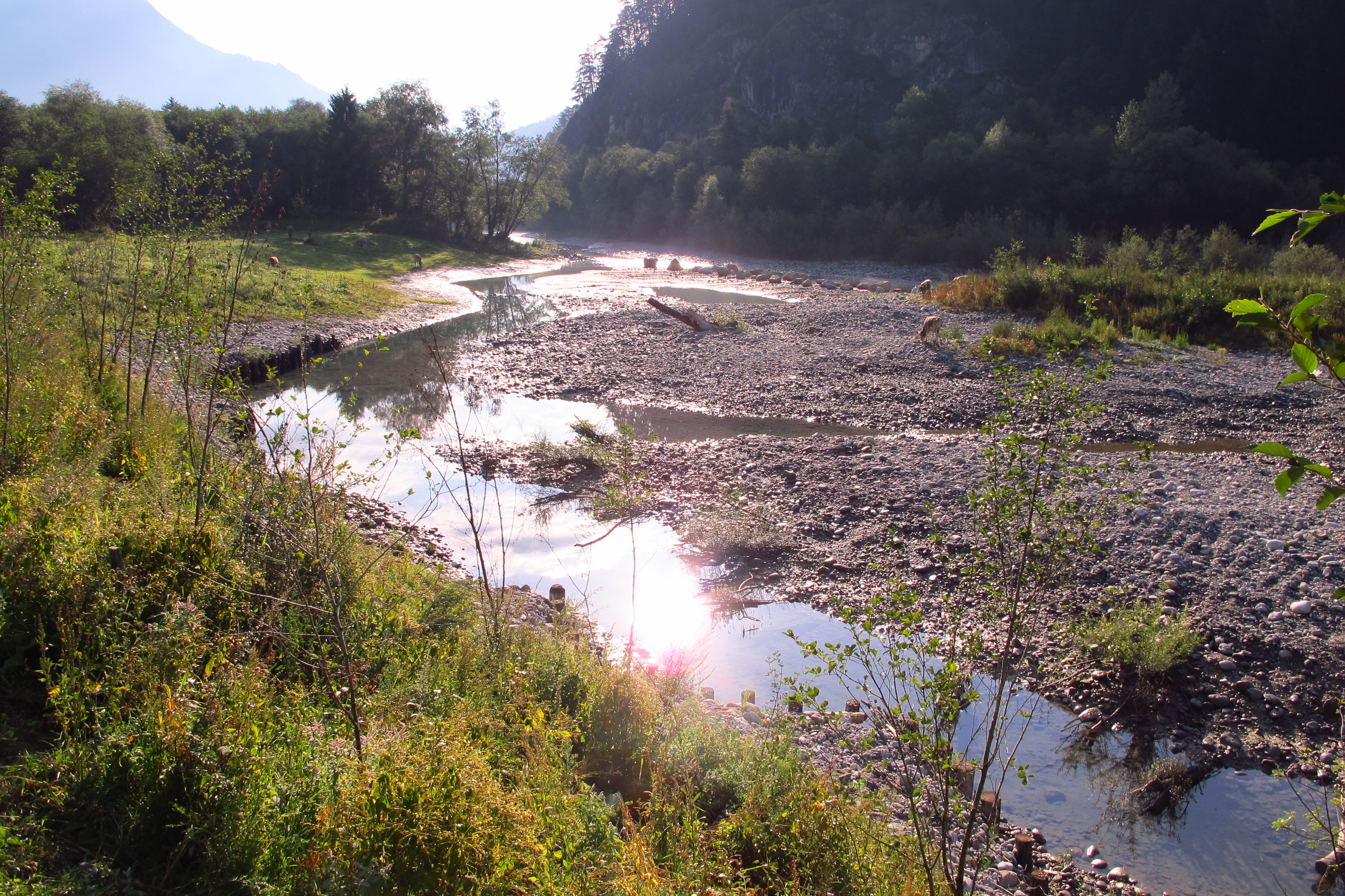 Landeskulturfonds Bach Landeskulturfonds Wasser